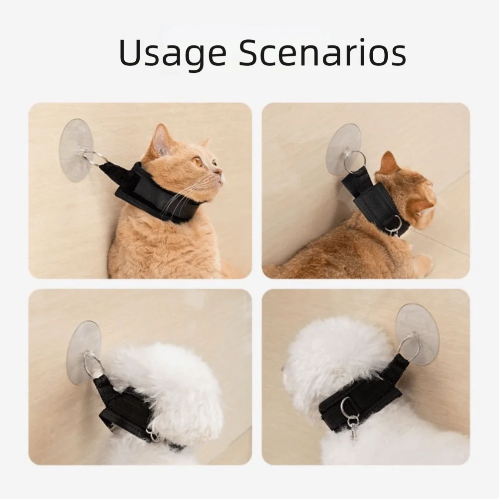 Hands-Free Pet Grooming Loop with Suction Cup