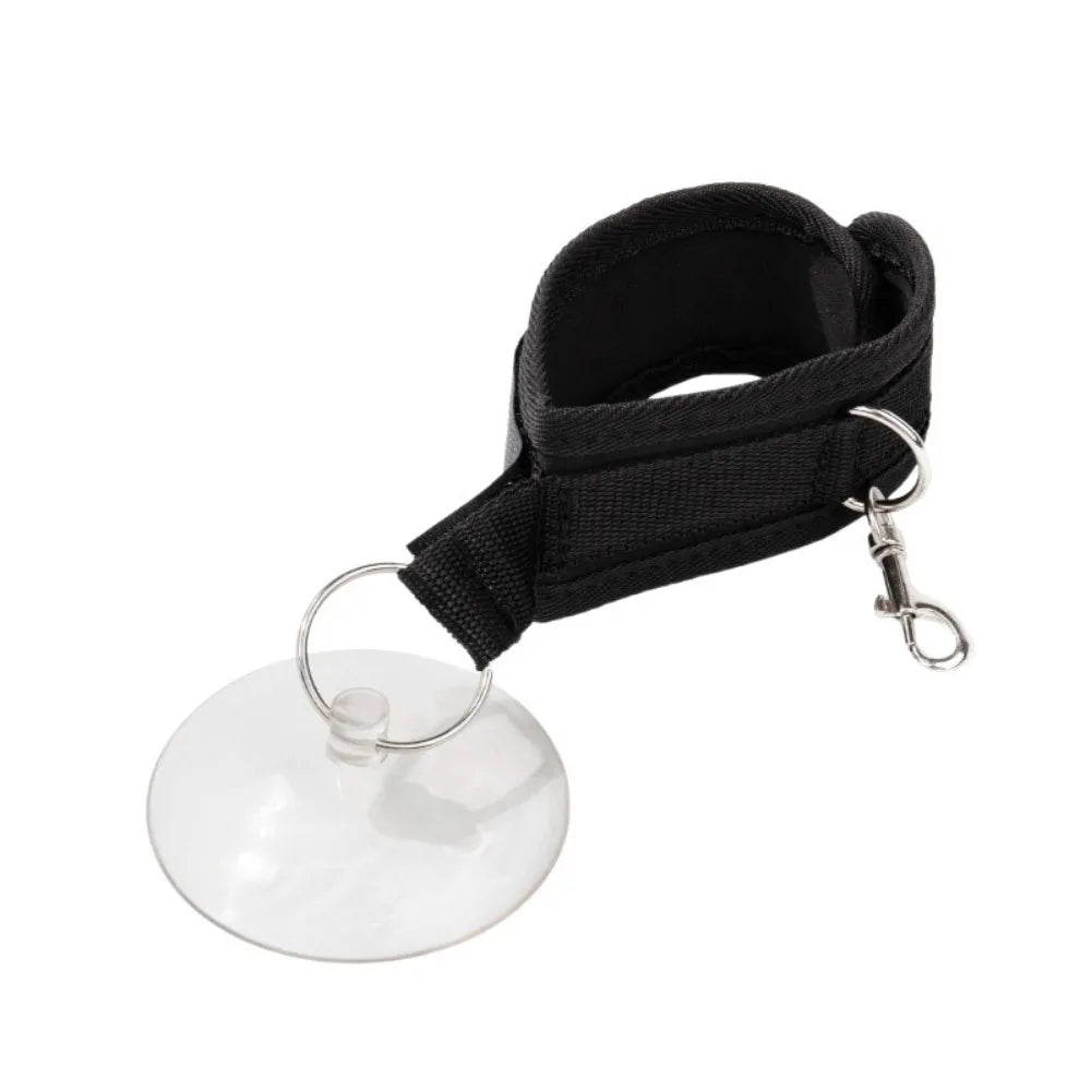 Hands-Free Pet Grooming Loop with Suction Cup