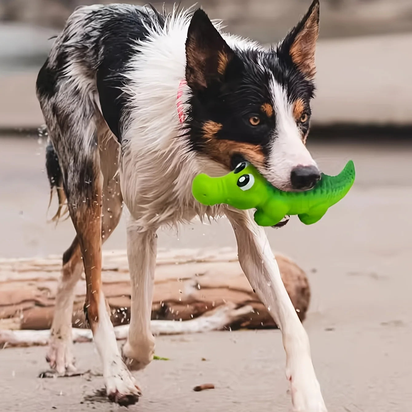 Squeaky Rubber Crocodile Dog Toy – Durable Chew & Play Pet Toy for Dogs,Fun Animal Design for Interactive Games(Assorted Colors)