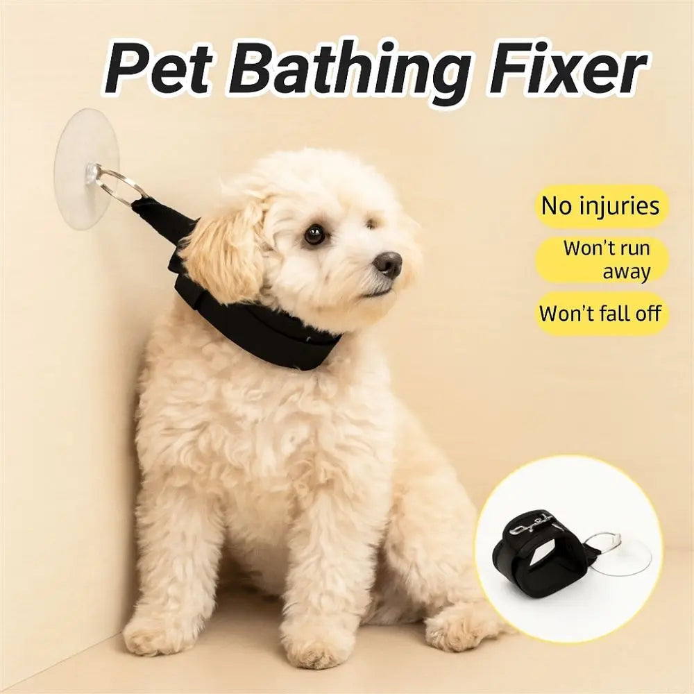 Hands-Free Pet Grooming Loop with Suction Cup