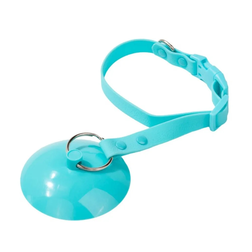 Hands-Free Pet Grooming Loop with Suction Cup