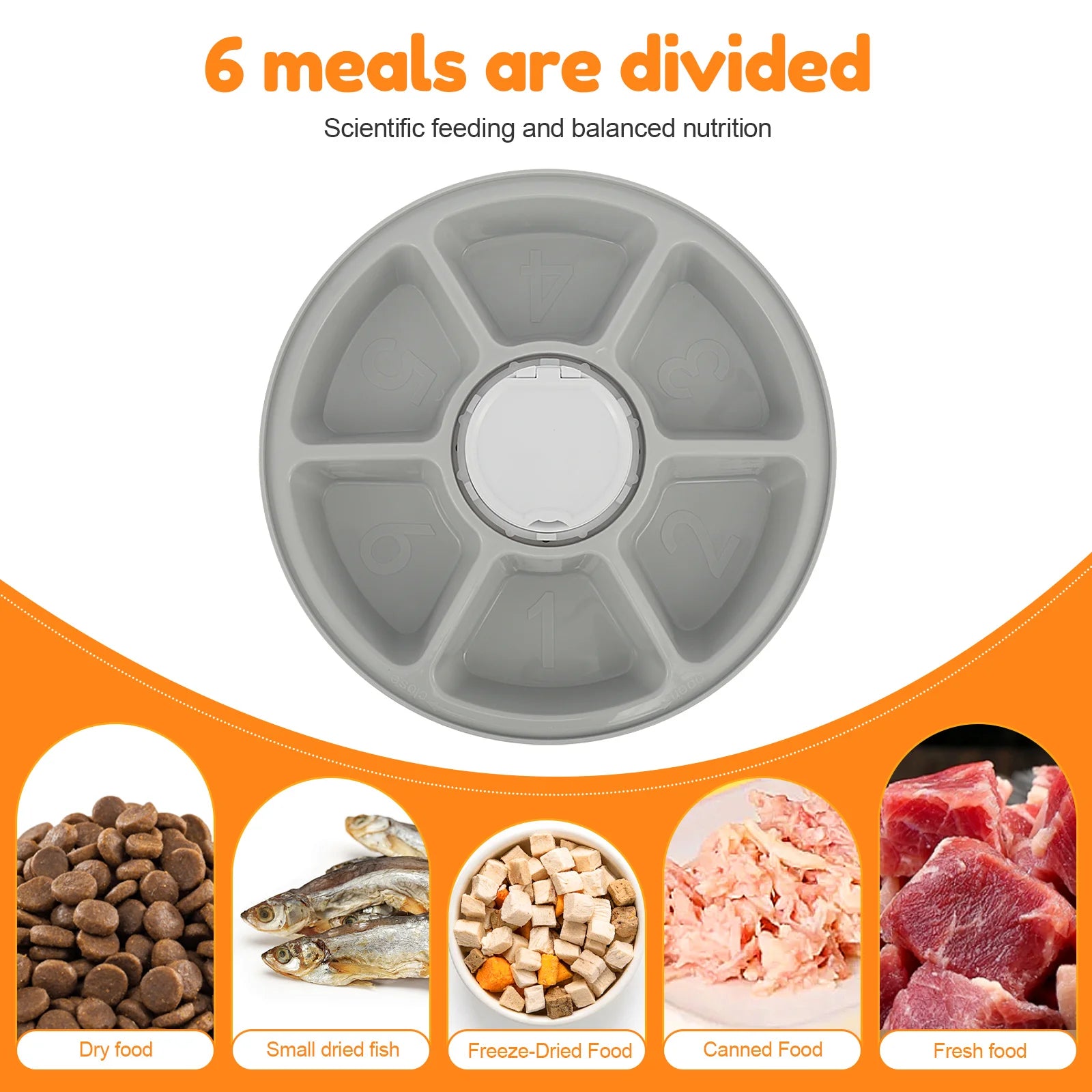 6-Meal Timed Pet Feeder – Dry & Wet Food Dispenser with Timer
