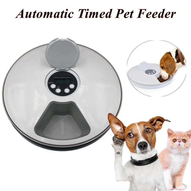 6-Meal 6-Grid Smart Control Pet Feeder – Timed Dry Food Dispenser