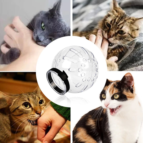Breathable Cat Grooming Muzzle & Space Hood