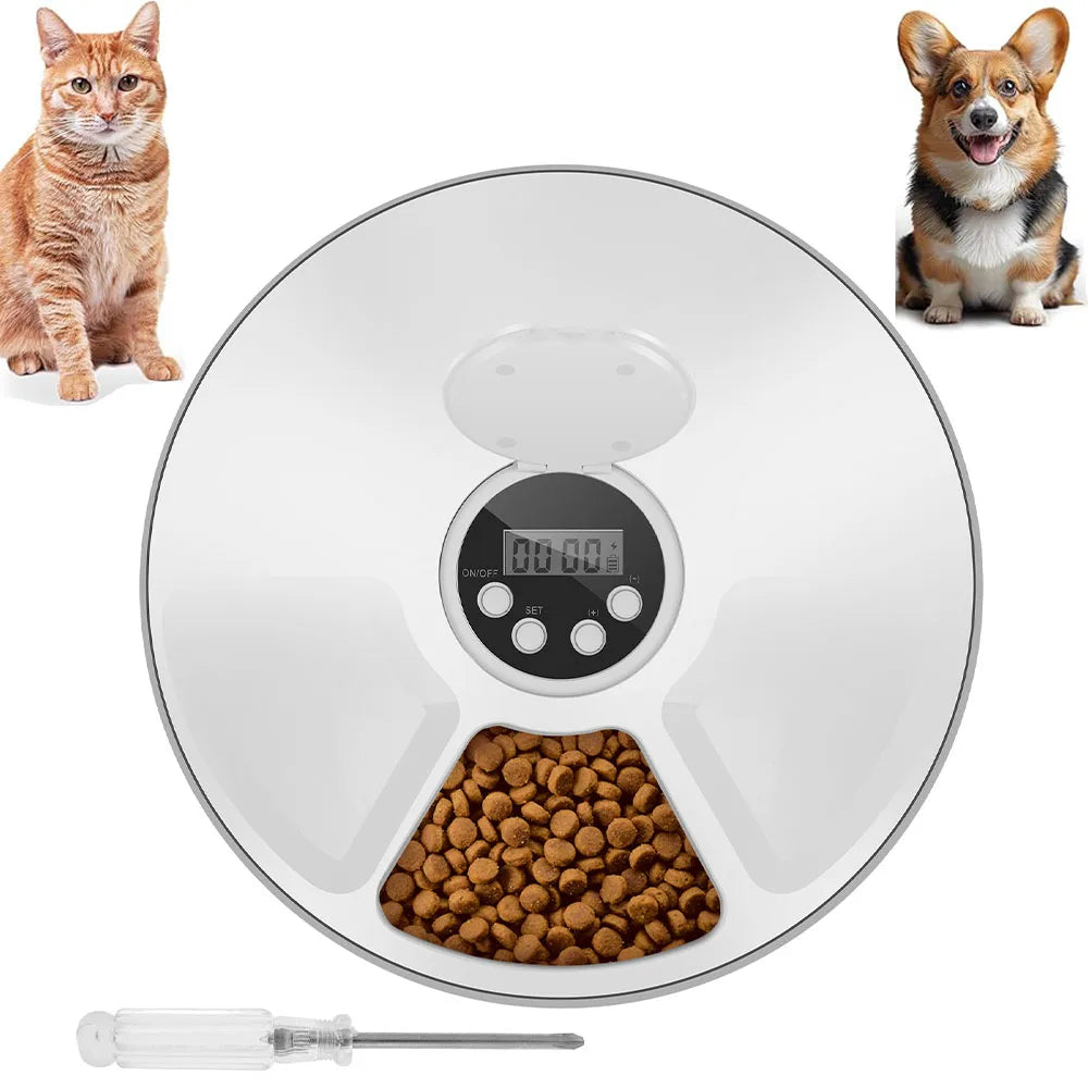 6-Meal Timed Pet Feeder – Dry & Wet Food Dispenser with Timer