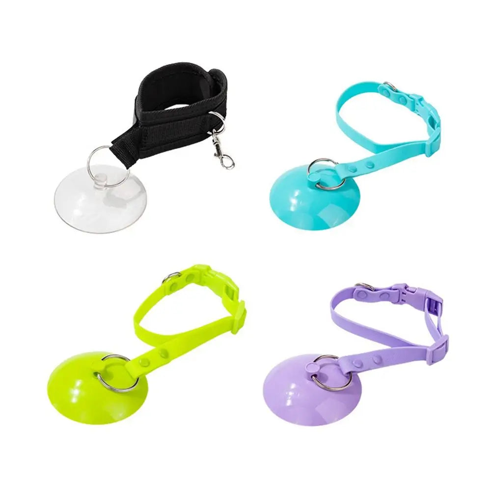 Hands-Free Pet Grooming Loop with Suction Cup