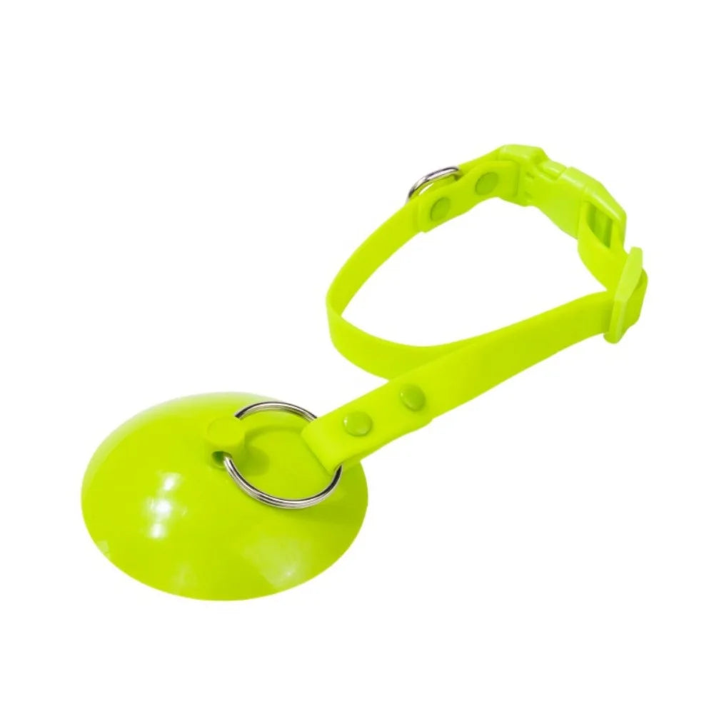 Hands-Free Pet Grooming Loop with Suction Cup