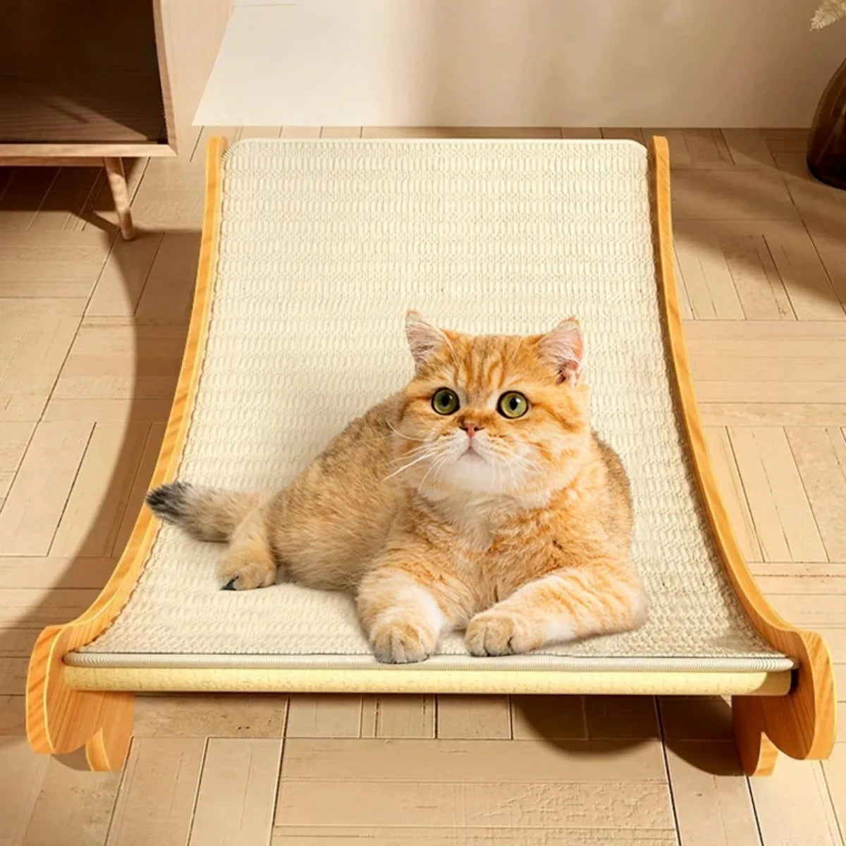 Wooden Cat Scratching Pad & Sleeping Bed – Detachable Wear-Resistant Scratcher