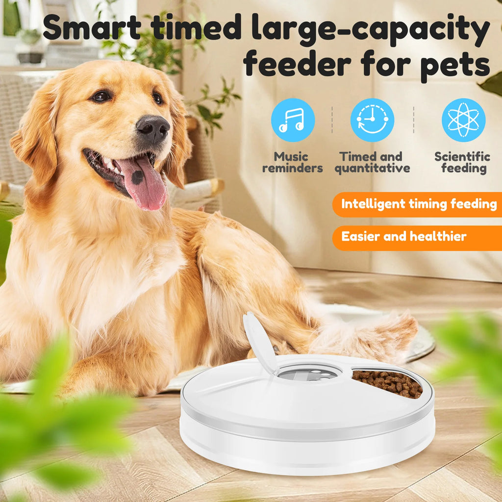 6-Meal Timed Pet Feeder – Dry & Wet Food Dispenser with Timer