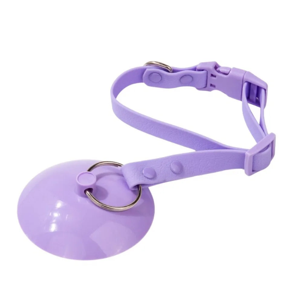 Hands-Free Pet Grooming Loop with Suction Cup